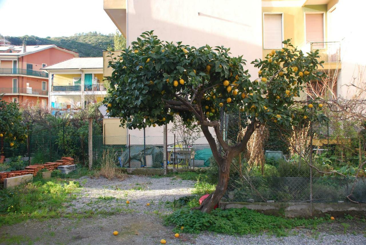 Palmaria Deiva Marina Exterior foto